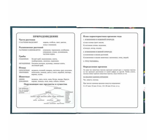 Дневник 1-4 класс 48 л., твердый, ЮНЛАНДИЯ, глянцевая ламинация, с подсказом, 