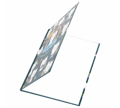 Дневник 1-4 класс 48 л., твердый, ЮНЛАНДИЯ, глянцевая ламинация, с подсказом, 