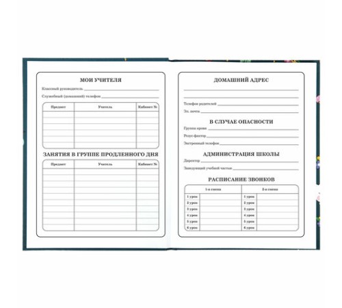 Дневник 1-4 класс 48 л., твердый, ЮНЛАНДИЯ, глянцевая ламинация, с подсказом, 