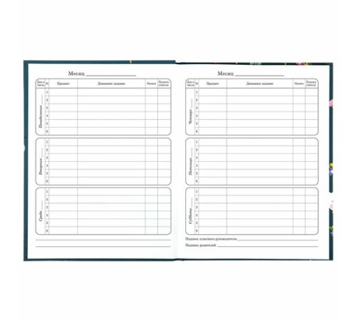 Дневник 1-4 класс 48 л., твердый, ЮНЛАНДИЯ, глянцевая ламинация, с подсказом, 