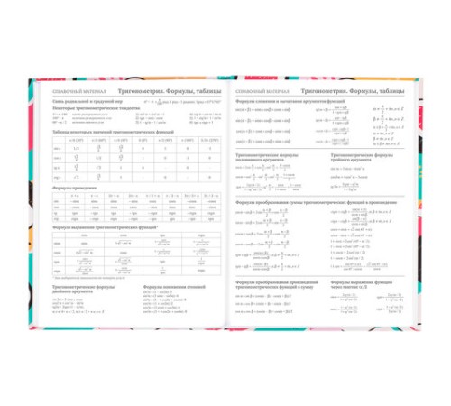Дневник 5-11 класс 48 л., твердый, BRAUBERG, глянцевая ламинация, с подсказом, 