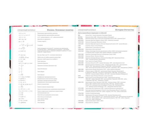 Дневник 5-11 класс 48 л., твердый, BRAUBERG, глянцевая ламинация, с подсказом, 