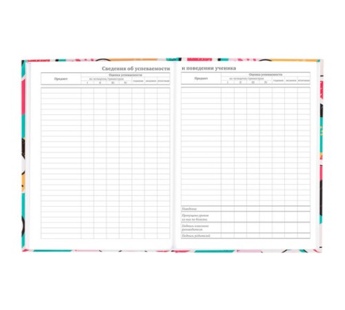 Дневник 5-11 класс 48 л., твердый, BRAUBERG, глянцевая ламинация, с подсказом, 