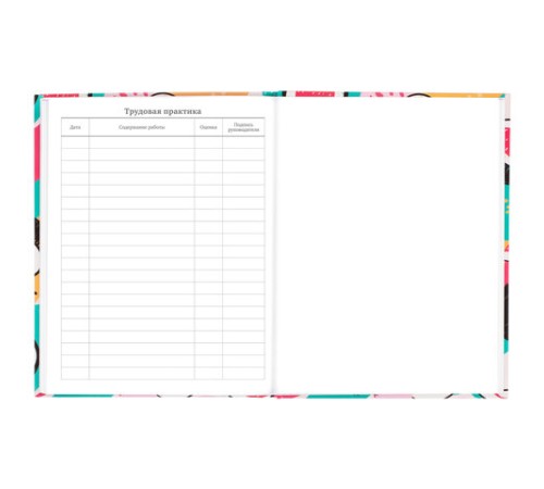 Дневник 5-11 класс 48 л., твердый, BRAUBERG, глянцевая ламинация, с подсказом, 