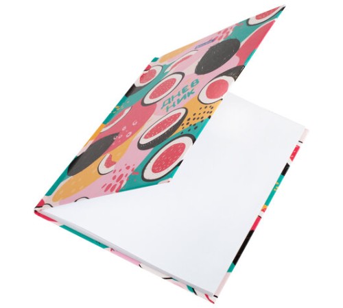 Дневник 5-11 класс 48 л., твердый, BRAUBERG, глянцевая ламинация, с подсказом, 