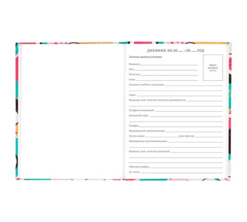 Дневник 5-11 класс 48 л., твердый, BRAUBERG, глянцевая ламинация, с подсказом, 