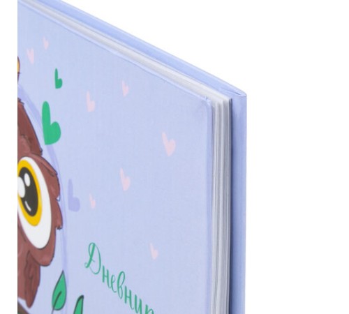 Дневник 1-4 класс 48 л., твердый, ЮНЛАНДИЯ, глянцевая ламинация, с подсказом, 