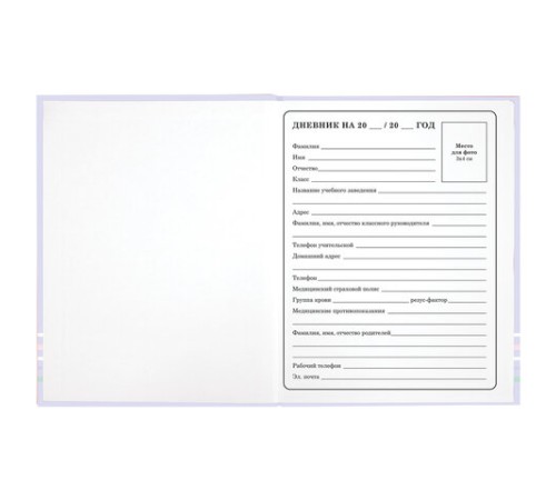 Дневник 1-4 класс 48 л., твердый, ЮНЛАНДИЯ, глянцевая ламинация, с подсказом, 