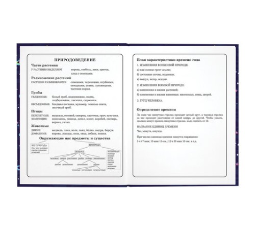 Дневник 1-4 класс 48 л., твердый, ЮНЛАНДИЯ, глянцевая ламинация, с подсказом, 