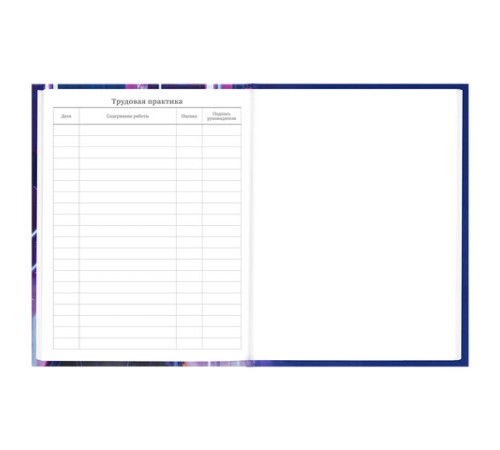 Дневник 5-11 класс 48 л., твердый, BRAUBERG, глянцевая ламинация, с подсказом, 