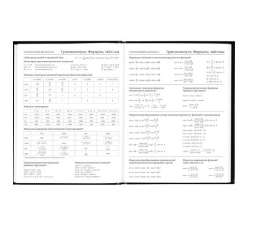 Дневник 5-11 класс 48 л., твердый, BRAUBERG, глянцевая ламинация, с подсказом, 