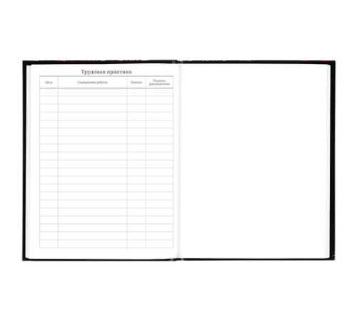 Дневник 5-11 класс 48 л., твердый, BRAUBERG, глянцевая ламинация, с подсказом, 