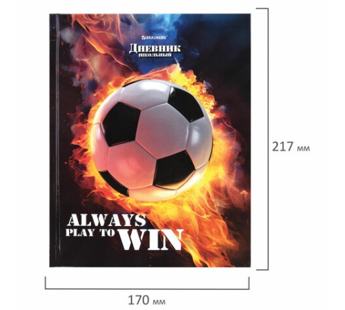 Дневник 5-11 класс 48 л., твердый, BRAUBERG, глянцевая ламинация, с подсказом, 