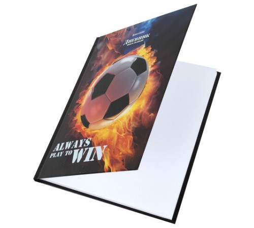 Дневник 5-11 класс 48 л., твердый, BRAUBERG, глянцевая ламинация, с подсказом, 