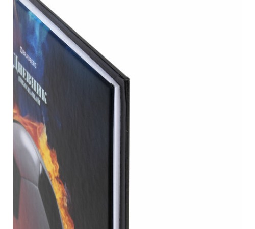 Дневник 5-11 класс 48 л., твердый, BRAUBERG, глянцевая ламинация, с подсказом, 