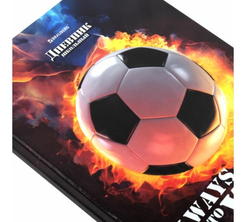 Дневник 5-11 класс 48 л., твердый, BRAUBERG, глянцевая ламинация, с подсказом, 