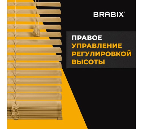 Жалюзи горизонтальные BRABIX 40х160 см, АЛЮМИНИЙ, цвет бежевый, 608633 Жалюзи горизонтальные BRABIX 40х160 см, АЛЮМИНИЙ, цвет бежевый, 608633
