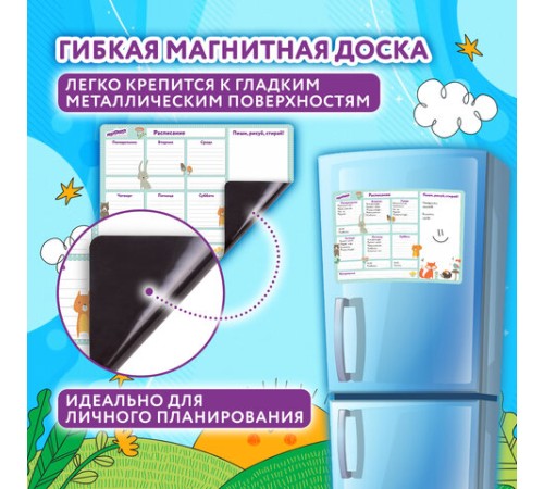 Планинг на холодильник магнитный РАСПИСАНИЕ 42х30 см, с маркером и салфеткой, ЮНЛАНДИЯ, 237851