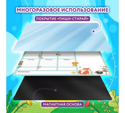 Планинг на холодильник магнитный РАСПИСАНИЕ 42х30 см, с маркером и салфеткой, ЮНЛАНДИЯ, 237851
