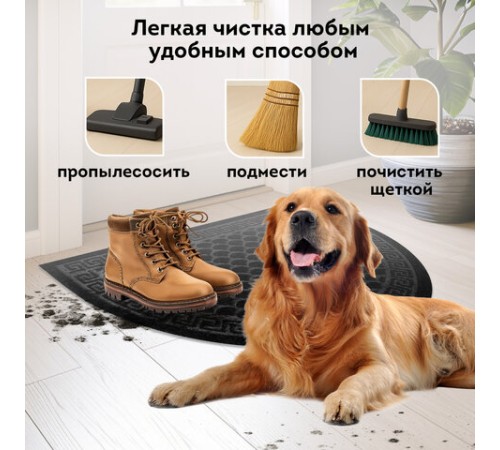 Коврик придверный 60х90 см, ЧЕРНЫЙ, грязезащитный, 430 г/м2, ПОЛУКРУГ, фактурный рисунок ЧЕШУЙКИ, ЛЮБАША, 701051 Коврик придверный 60х90 см, ЧЕРНЫЙ, грязезащитный, 430 г/м2, ПОЛУКРУГ, фактурный рисунок ЧЕШУЙКИ, ЛЮБАША, 701051