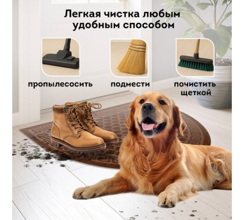 Коврик придверный 60х90 см, ВЕНГЕ, грязезащитный, 430 г/м2, ПОЛУКРУГ, фактурный ЧЕШУЙКИ, ЛЮБАША, 701053 Коврик придверный 60х90 см, ВЕНГЕ, грязезащитный, 430 г/м2, ПОЛУКРУГ, фактурный ЧЕШУЙКИ, ЛЮБАША, 701053