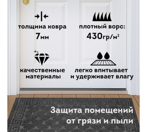 Коврик придверный 40х60 см, СЕРЫЙ, грязезащитный, 430 г/м2, фактурный рисунок ЧЕШУЙКИ, ЛЮБАША, 701058 Коврик придверный 40х60 см, СЕРЫЙ, грязезащитный, 430 г/м2, фактурный рисунок ЧЕШУЙКИ, ЛЮБАША, 701058