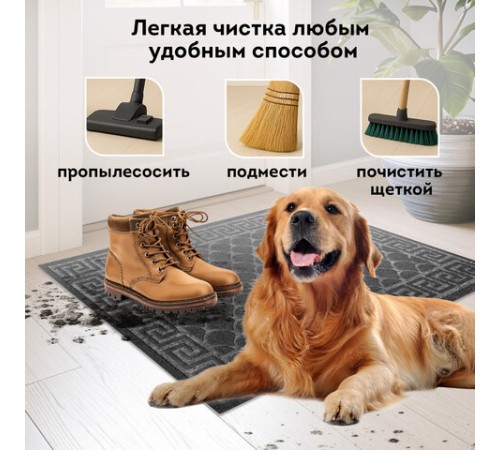 Коврик придверный 60х90 см, СЕРЫЙ, грязезащитный, 430 г/м2, фактурный рисунок ЧЕШУЙКИ, ЛЮБАША, 701061 Коврик придверный 60х90 см, СЕРЫЙ, грязезащитный, 430 г/м2, фактурный рисунок ЧЕШУЙКИ, ЛЮБАША, 701061