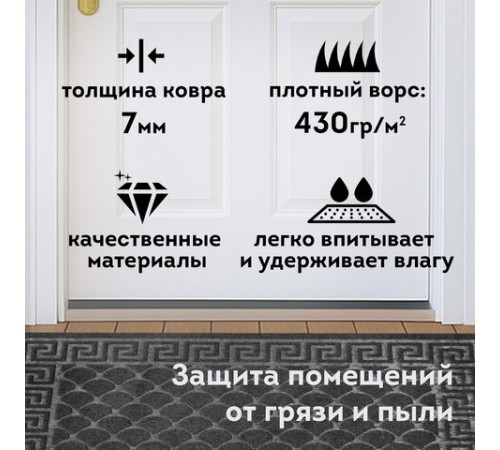 Коврик придверный 60х90 см, СЕРЫЙ, грязезащитный, 430 г/м2, фактурный рисунок ЧЕШУЙКИ, ЛЮБАША, 701061 Коврик придверный 60х90 см, СЕРЫЙ, грязезащитный, 430 г/м2, фактурный рисунок ЧЕШУЙКИ, ЛЮБАША, 701061