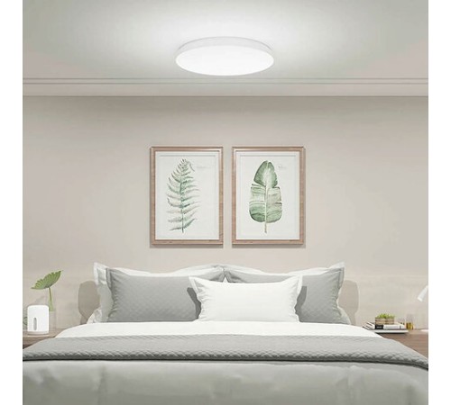 Умный потолочный светильник XIAOMI Mi Smart LED Ceiling Light, LED, 45 Вт, белый, BHR4118GL Умный потолочный светильник XIAOMI Mi Smart LED Ceiling Light, LED, 45 Вт, белый, BHR4118GL
