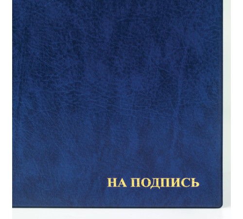 Папка адресная ПВХ "НА ПОДПИСЬ", формат А4, увеличенная вместимость до 100 листов, синяя, "ДПС", 2032.Н-101 Папка адресная ПВХ "НА ПОДПИСЬ", формат А4, увеличенная вместимость до 100 листов, синяя, "ДПС", 2032.Н-101