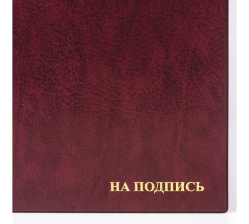 Папка адресная ПВХ "НА ПОДПИСЬ", формат А4, увеличенная вместимость до 100 листов, бордовая, "ДПС", 2032.Н-103 Папка адресная ПВХ "НА ПОДПИСЬ", формат А4, увеличенная вместимость до 100 листов, бордовая, "ДПС", 2032.Н-103