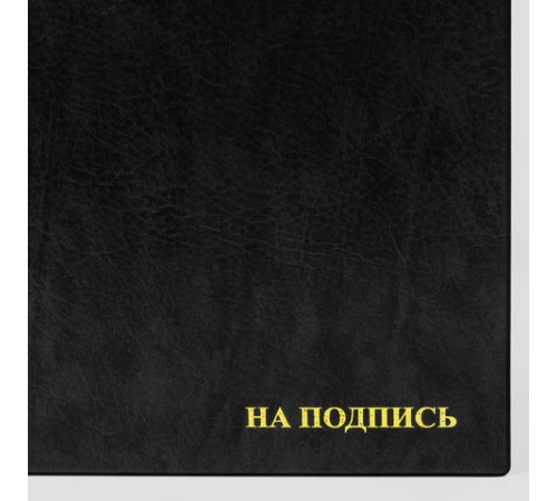 Папка адресная ПВХ "НА ПОДПИСЬ", формат А4, увеличенная вместимость до 100 листов, черная, "ДПС", 2032.Н-107 Папка адресная ПВХ "НА ПОДПИСЬ", формат А4, увеличенная вместимость до 100 листов, черная, "ДПС", 2032.Н-107