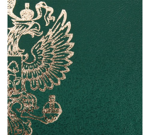 Папка адресная бумвинил с гербом России, формат А4, зеленая, индивидуальная упаковка, STAFF "Basic", 129581 Папка адресная бумвинил с гербом России, формат А4, зеленая, индивидуальная упаковка, STAFF "Basic", 129581
