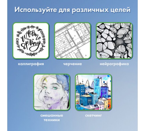 Капиллярные ручки линеры 6 шт. черные, 0,2/0,25/0,3/0,35/0,45/0,7 мм, BRAUBERG ART CLASSIC, 143942 Капиллярные ручки линеры 6 шт. черные, 0,2/0,25/0,3/0,35/0,45/0,7 мм, BRAUBERG ART CLASSIC, 143942