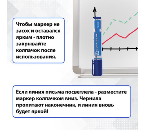 Маркеры стираемые для белой доски НАБОР 4 ЦВЕТА, BRAUBERG "Neo", 5 мм, с клипом, 150491 Маркеры стираемые для белой доски НАБОР 4 ЦВЕТА, BRAUBERG "Neo", 5 мм, с клипом, 150491