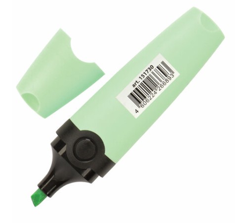 Текстовыделитель BRAUBERG "DELTA PASTEL", МЯТА, линия 1-5 мм, 151730 Текстовыделитель BRAUBERG "DELTA PASTEL", МЯТА, линия 1-5 мм, 151730