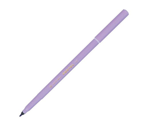 Фломастеры ПАСТЕЛЬНЫЕ 12 ЦВЕТОВ CENTROPEN "Colour World Pastel", смываемые, 7550/12TP, 7 7550 1287