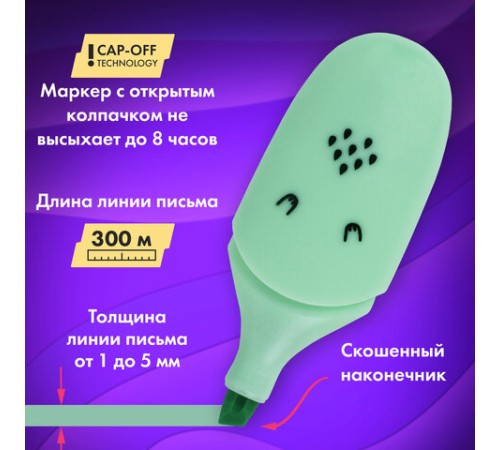 Набор текстовыделителей мини 12 ЦВЕТОВ BRAUBERG KIDS "CUTE CATS", линия 1-5 мм, 152437 Набор текстовыделителей мини 12 ЦВЕТОВ BRAUBERG KIDS "CUTE CATS", линия 1-5 мм, 152437