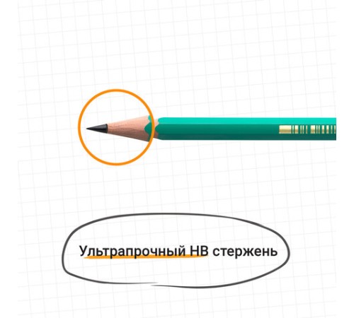Карандаш чернографитный BIC, 1 шт., "Evolution", HB, корпус зеленый, 8803112 Карандаш чернографитный BIC, 1 шт., "Evolution", HB, корпус зеленый, 8803112