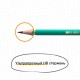 Карандаш чернографитный BIC, 1 шт., "Evolution", HB, корпус зеленый, 8803112