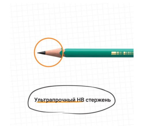 Карандаш чернографитный BIC, 1 шт., "Evolution", HB, с ластиком, корпус зеленый, 8803323 Карандаш чернографитный BIC, 1 шт., "Evolution", HB, с ластиком, корпус зеленый, 8803323