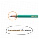 Карандаш чернографитный BIC, 1 шт., "Evolution", HB, с ластиком, корпус зеленый, 8803323