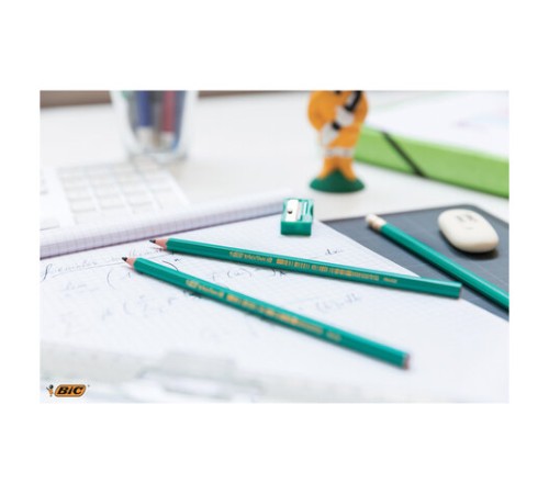 Карандаш чернографитный BIC, 1 шт., "Evolution", HB, с ластиком, корпус зеленый, 8803323 Карандаш чернографитный BIC, 1 шт., "Evolution", HB, с ластиком, корпус зеленый, 8803323