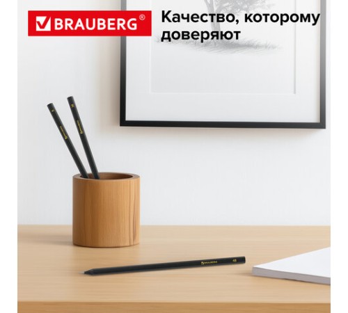 Карандаши чернографитные BRAUBERG НАБОР 12 шт., "Black Jack", 2Н-4В, без резинки, черные, дерево, заточенные, 180620 Карандаши чернографитные BRAUBERG НАБОР 12 шт., "Black Jack", 2Н-4В, без резинки, черные, дерево, заточенные, 180620