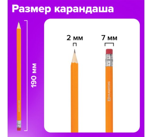 Карандаши чернографитные простые с ластиком HB, ВЫГОДНАЯ УПАКОВКА КОМПЛЕКТ 12 штук, BRAUBERG, 180635 Карандаши чернографитные простые с ластиком HB, ВЫГОДНАЯ УПАКОВКА КОМПЛЕКТ 12 штук, BRAUBERG, 180635
