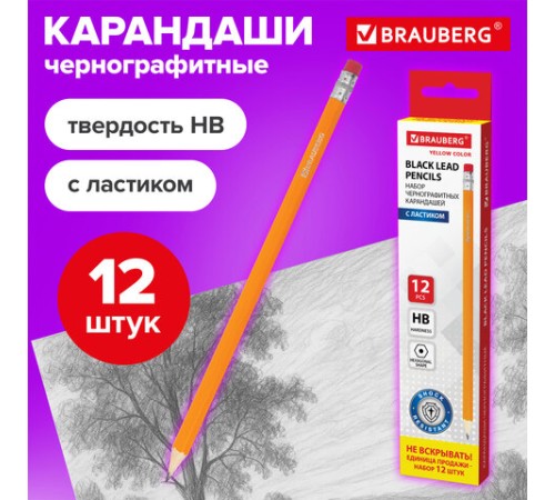 Карандаши чернографитные простые с ластиком HB, ВЫГОДНАЯ УПАКОВКА КОМПЛЕКТ 12 штук, BRAUBERG, 180635 Карандаши чернографитные простые с ластиком HB, ВЫГОДНАЯ УПАКОВКА КОМПЛЕКТ 12 штук, BRAUBERG, 180635