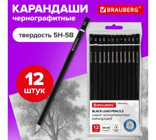 Карандаши чернографитные разной твердости НАБОР 12 штук, 5H-5B, BRAUBERG "Line", 180652 Карандаши чернографитные разной твердости НАБОР 12 штук, 5H-5B, BRAUBERG "Line", 180652