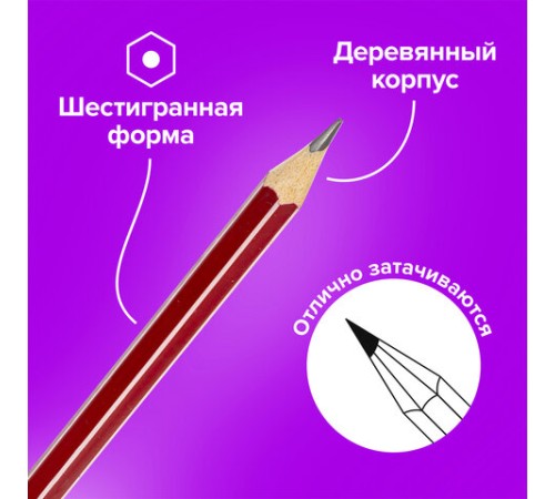 Карандаши чернографитные BRAUBERG НАБОР 12 шт., "ZTX", HB, с резинкой, красный корпус, картонная упаковка, 180671 Карандаши чернографитные BRAUBERG НАБОР 12 шт., "ZTX", HB, с резинкой, красный корпус, картонная упаковка, 180671