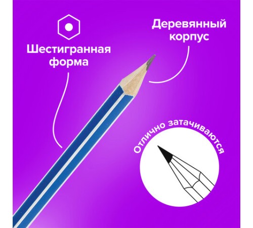 Карандаши чернографитные BRAUBERG НАБОР 12 шт., "ZTX", HB, с резинкой, синий корпус, картонная упаковка, 180672 Карандаши чернографитные BRAUBERG НАБОР 12 шт., "ZTX", HB, с резинкой, синий корпус, картонная упаковка, 180672