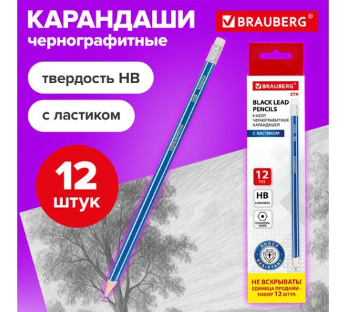 Карандаши чернографитные BRAUBERG НАБОР 12 шт., "ZTX", HB, с резинкой, синий корпус, картонная упаковка, 180672 Карандаши чернографитные BRAUBERG НАБОР 12 шт., "ZTX", HB, с резинкой, синий корпус, картонная упаковка, 180672